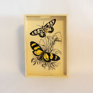 TIMARHANE TASARIM ATÖLYESİ - Küçük Tepsi