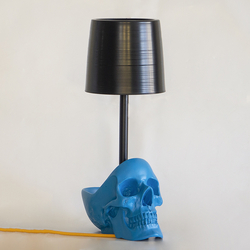  - Kurukafa Abajur Aydınlatma