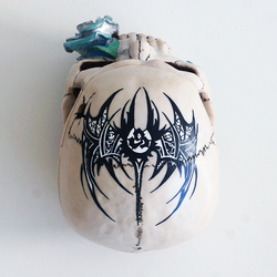 Kurukafa Organizer - Thumbnail